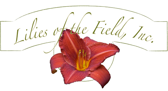 Lilies of the Field, Inc.